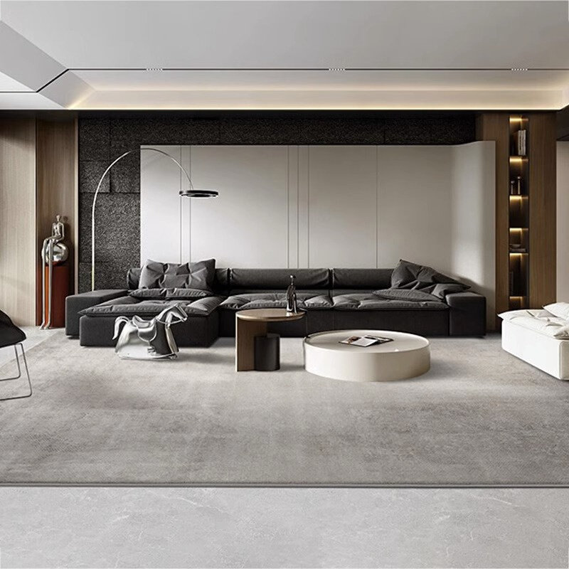 客厅地毯高级感轻奢现代极简耐脏沙发茶几毯加厚卧室地垫防滑定制