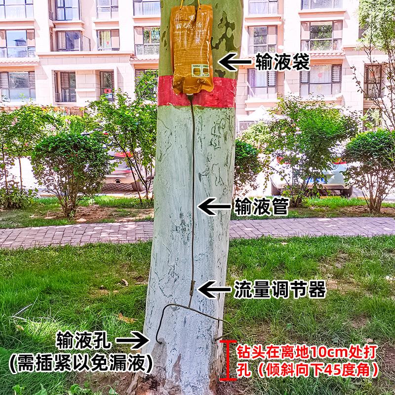 国光施它活树木营养液吊针液大树吊针袋果树桂花树移栽生根输液袋