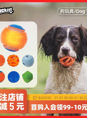 美国Petmate宠物狗狗玩具球Chuckit互动训练发光发声定位橡胶球