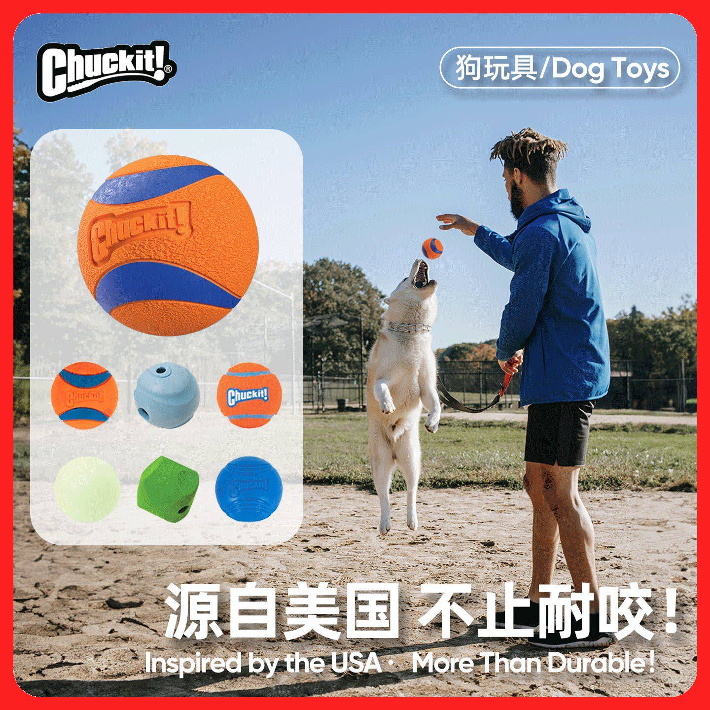 美国Petmate狗狗玩具橡胶球Chuckit宠物耐咬磨牙互动发声幼犬训练