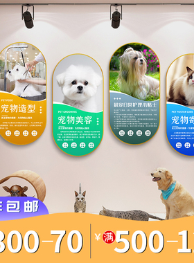 宠物店装饰动物美容宣传背景墙医院诊所挂画猫狗护理知识科普壁画