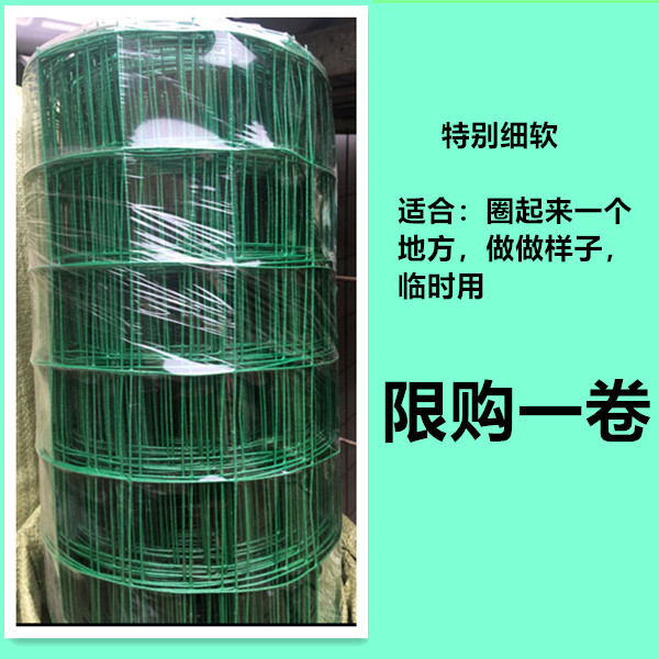 荷兰网铁丝网钢丝网养殖网养鸡鸭鹅网护栏网防护网果园围栏网