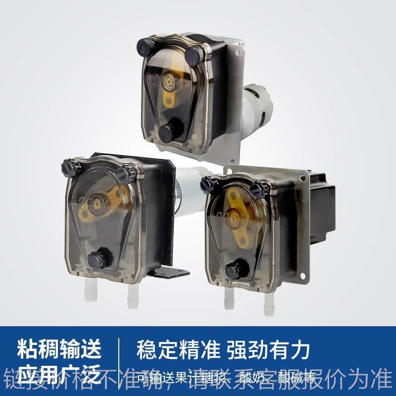 203KA微型蠕动泵小型蠕动泵计量泵密封蠕动泵 自制蠕动泵