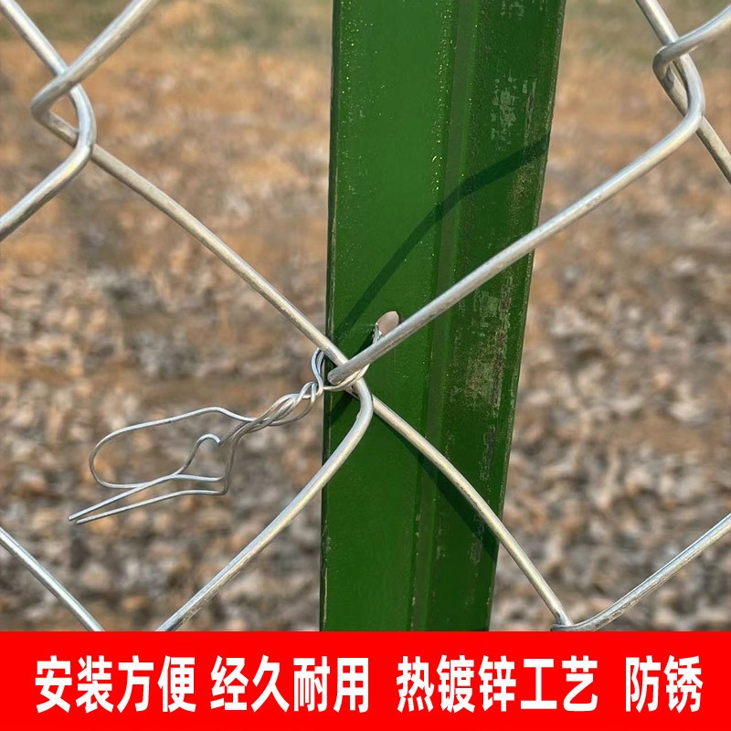 热镀锌铁丝网养狗护栏钢丝网围栏养殖鸡鸭牛羊隔离网防护网勾花网