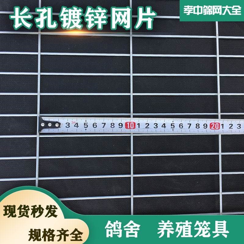 新款长孔镀锌铁丝网片鸽舍围栏热镀锌钢丝网养殖加粗加密地网防护