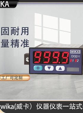 wika数显仪多功能输入液位测量一般工业应用DI35系列安装型数显仪