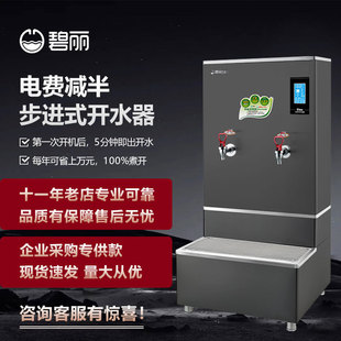 碧丽商用开水器厂家直供商用双聚能步进式开水器大容量烧水炉开水