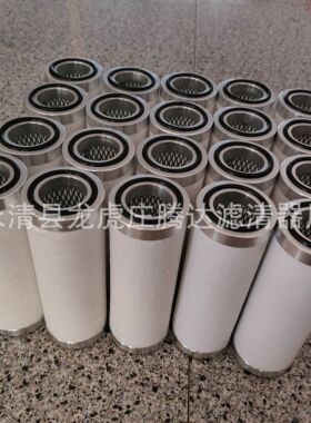 30725/0真空泵油雾分离器真空泵排气滤芯