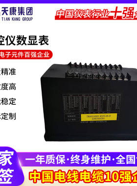 安徽天康温控仪,数显表,PID调节仪,TK6516/516P