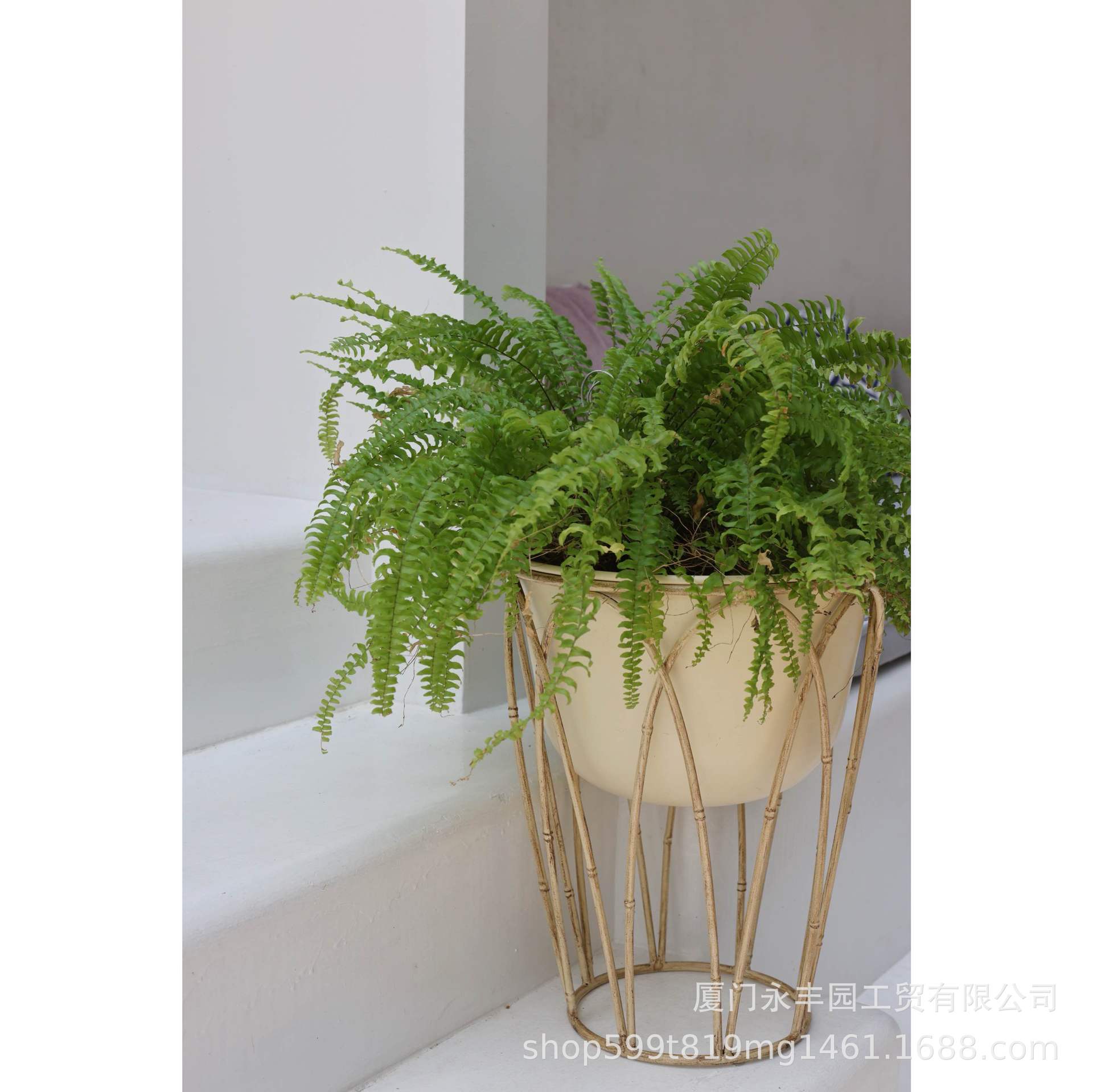 客厅简约金属仿藤桌面花架