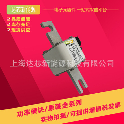 170M3269 170M3270 170M3271 170M3272 170M3273全新巴斯曼熔断器