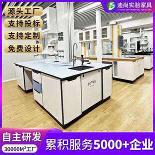 实验室实验台工作台实验桌全钢钢木中央台化学试验台专用