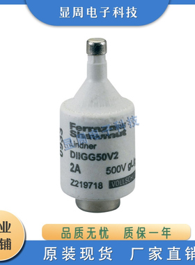 全新快速电子保险丝熔断器NDZGG50V25 Q215593 DIIGG50V2 Z219718