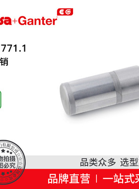 Elesa Ganter伊莉莎冈特 GN 771.1 导向销 柱状