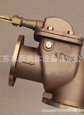 GB569铸钢直通防浪阀GB2501青铜可闭立式法兰船舷接管AS型BS直角