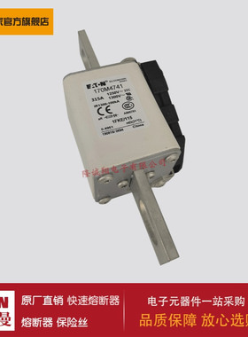 熔断器170M4742 170M4743 170M4744 170M4745 170M4746 170M4747