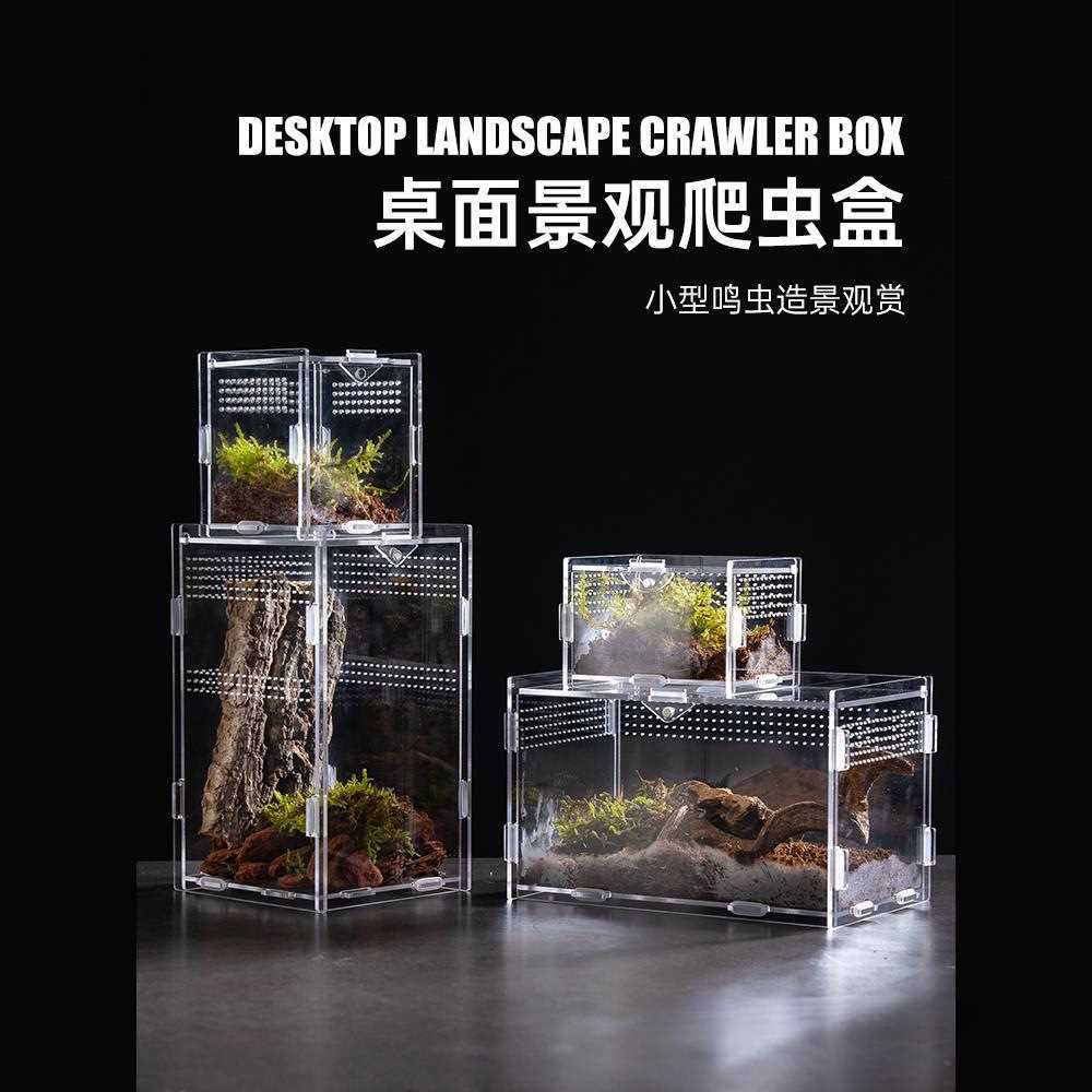 爬虫亚克力爬宠箱小型饲养盒蜘蛛蜥蜴蝎甲虫造景饲养箱高透观赏盒