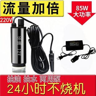 220伏电动小型自吸油泵抽油机器油抽子抽水泵 抽油泵柴油12V24