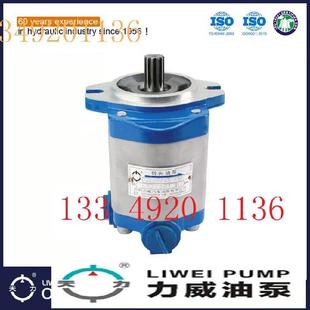天力合肥力威汽车 QC16 6CT KMS 转向助力泵齿轮油泵方向机