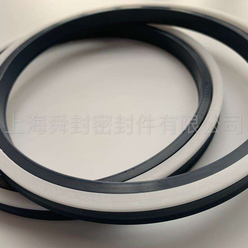 T18 220*200*15.7 merkel  德国组合圈 科德堡 活塞密封圈 上海
