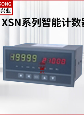 XSN系列智能计数器