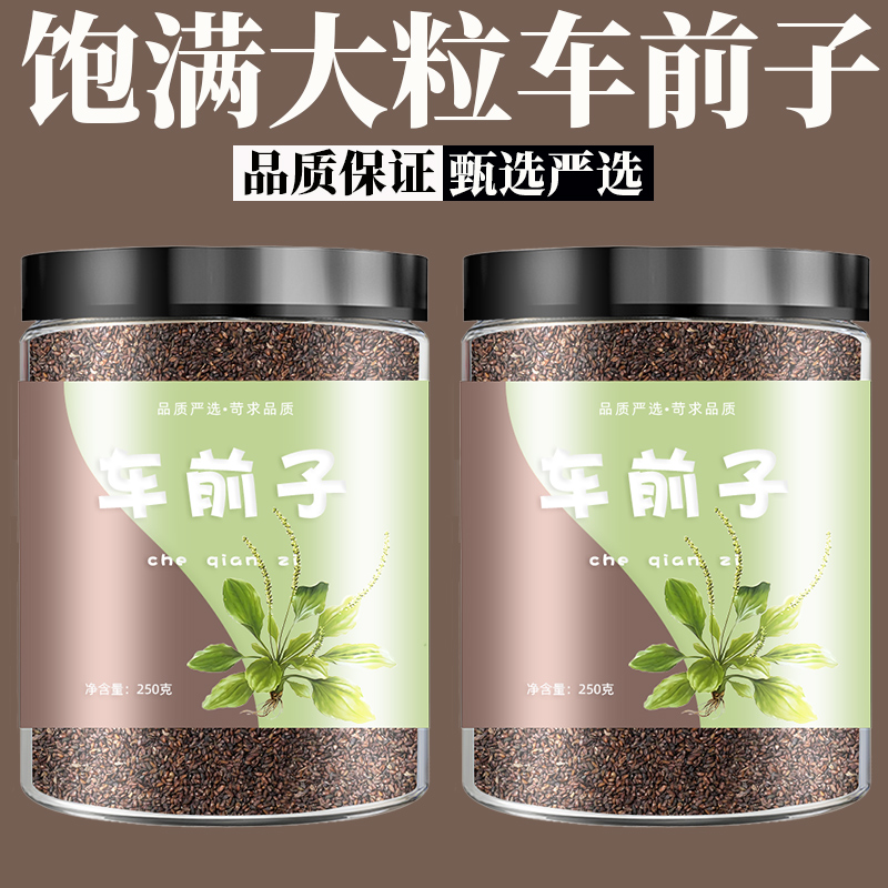 车前子中药500g车前子籽粉泡水茶中药材车前子壳车钱子车前草种子