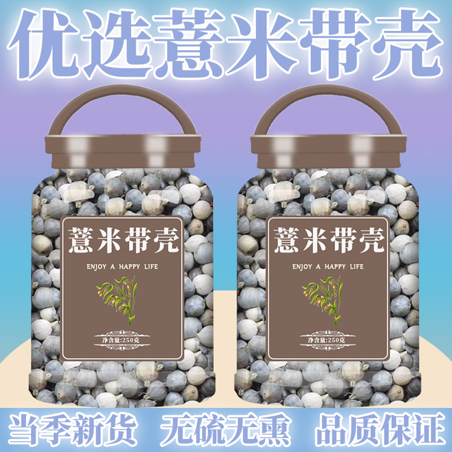 薏米老品种苡米种子带壳小薏仁米薏苡仁农家辈自留白壳糯性500g