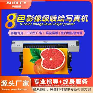 奥德利双头户内户外写真机门店专用机型车贴壁纸打印写真重型机架