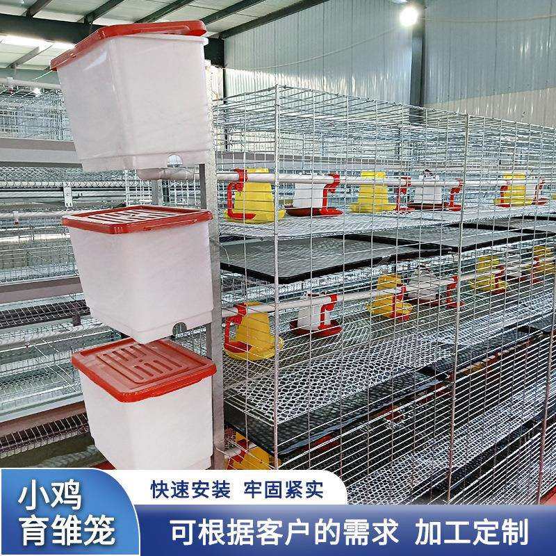 三层四层立式雏鸡笼育雏笼子大型养殖场用小鸡笼铁丝镀锌养殖笼,影音电器,更多影音配件,淘宝优惠券,粉丝福利购,淘宝优惠卷