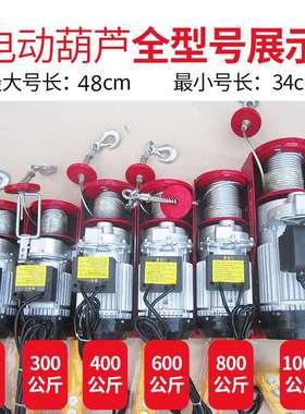 CEPA微型电动葫芦220V110v吊机升降机提升机可开专票