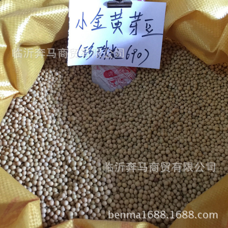小黄豆芽苗菜珍珠粒纳豆整包