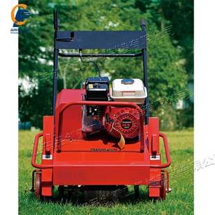 手推式草坪绿化打眼机 草坪通气打孔养护设备 小型草坪透气打孔机