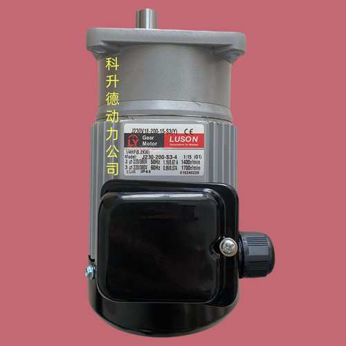 LUSON电机 LY马达 J230V15-200-20-C(Y) J230V15-200-12.5-C(Y)