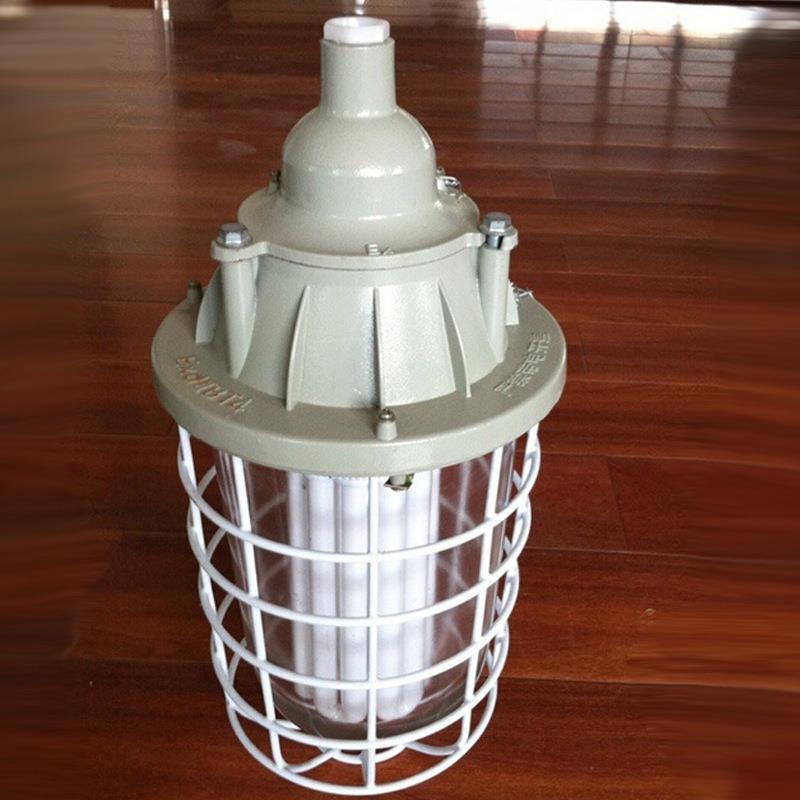 BAD56-n“n”型防爆防腐灯不锈钢 nR BAD-DIP粉尘防爆节能灯