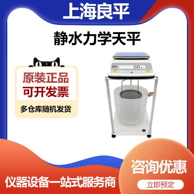 上海良平DSJ-2静水力学天平