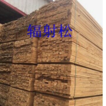 直供新西兰松木FSC新西兰松板材新西兰松等宽板自然板远销各地