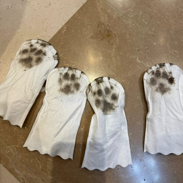 脏滑宠物狗遛狗狗神器鞋子脚套袜子一次性鞋套防水防防小狗外出脏