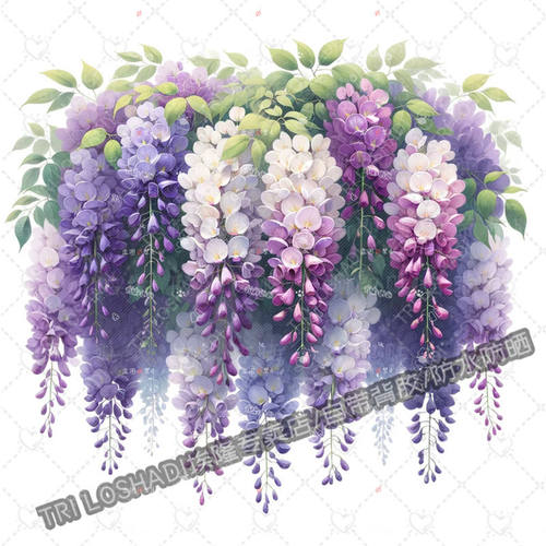 优雅紫藤萝自粘贴纸厨房瓷砖冰箱防水贴画客厅墙面衣柜温馨贴车贴