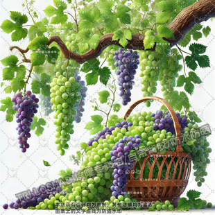 田园风厨房冰箱葡萄贴纸墙上多子多福自粘贴画瓷砖防水贴花车身贴