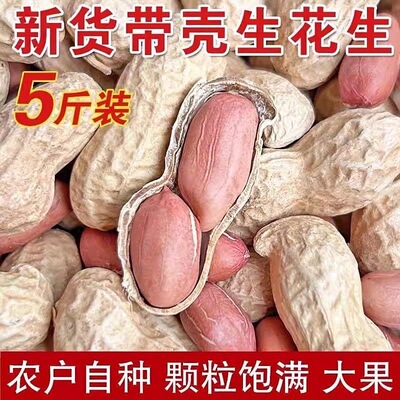 25年带壳生花生晒干5斤原味新鲜种子级品质农家粉皮大颗粒带壳生