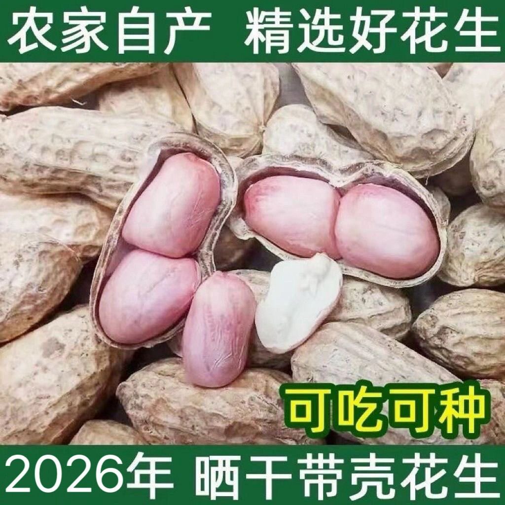 26年新货带壳生花生种子级农家自种白沙粉皮薄壳干花生果1-5斤