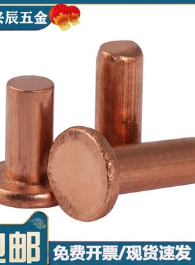 M2M2.5紫铜铆钉平头实心平帽铜钉GB109手打敲击式柳钉*3x4x8x16mm