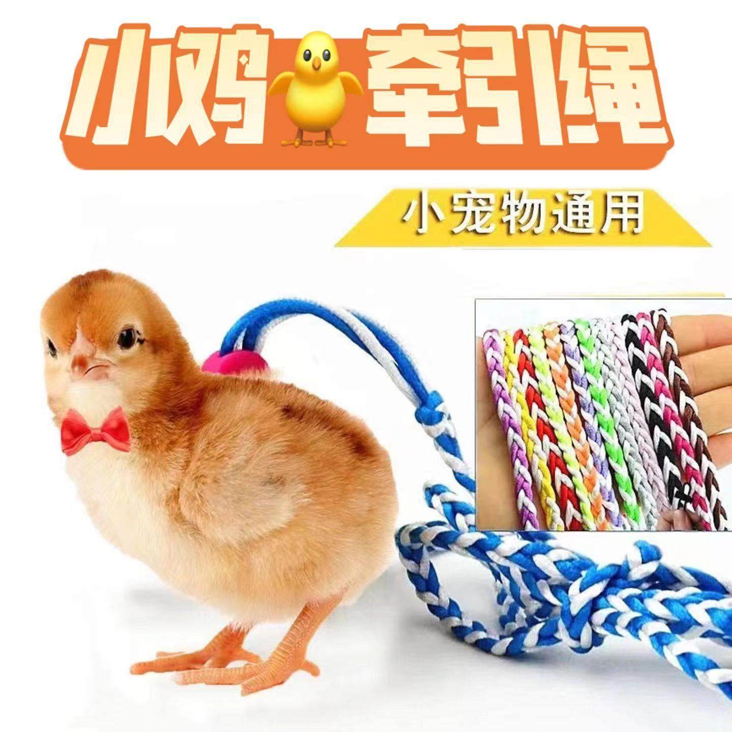 芦丁鸡遛鸡神器小鸡牵引绳防挣脱溜小鸡鸭子专用绑绳外出遛宠物芦