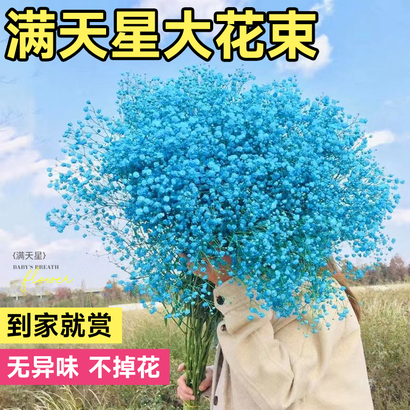 满天星干花花束高级感客厅摆设真鲜dEiy材料家居宜枝礼物自然