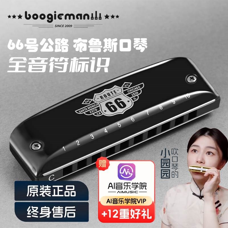 Boogieman布鲁斯口琴Ct调66号公路蓝调网十孔10paddy调音a园园同