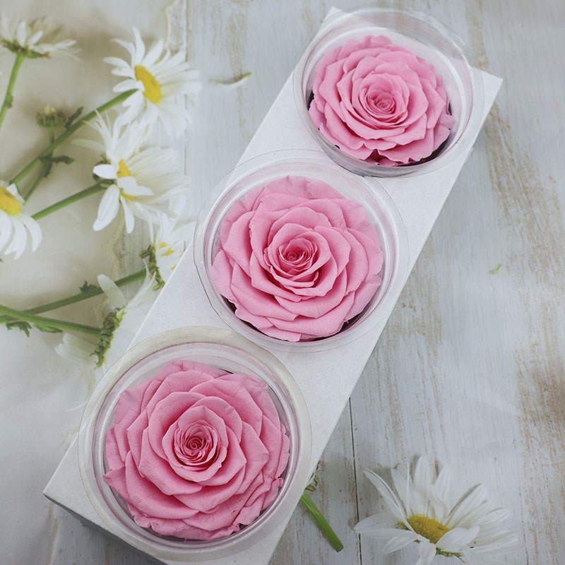 永生花情人节7-8CM优质A级巨型玫瑰DIY材料M保鲜花520新年告白礼