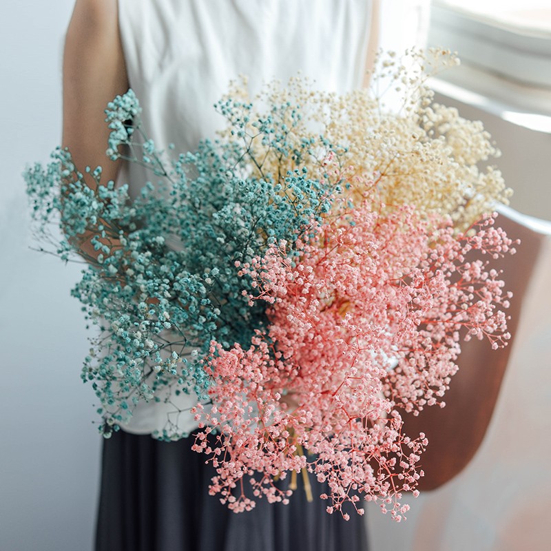 云南永生满天星干花花束一大束白蓝色天然送女生insY摆件卧室装饰