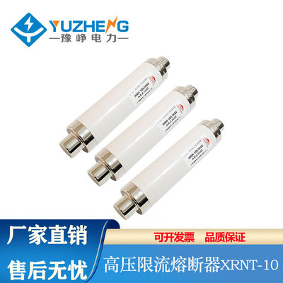 豫峥 限流熔断器高分断保险丝XRNT10-12KV高压50A63A80A100A125A