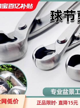 和樱球节剪盆景修剪造型专用工具大号球形型剪刀不锈钢修枝钳套装