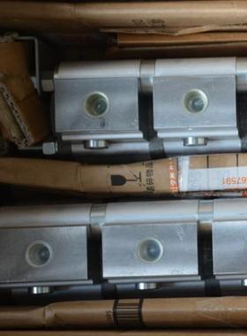 意大利RONZIO罗茨02ZAG06E034S（排量06）全系齿轮泵 液压马达